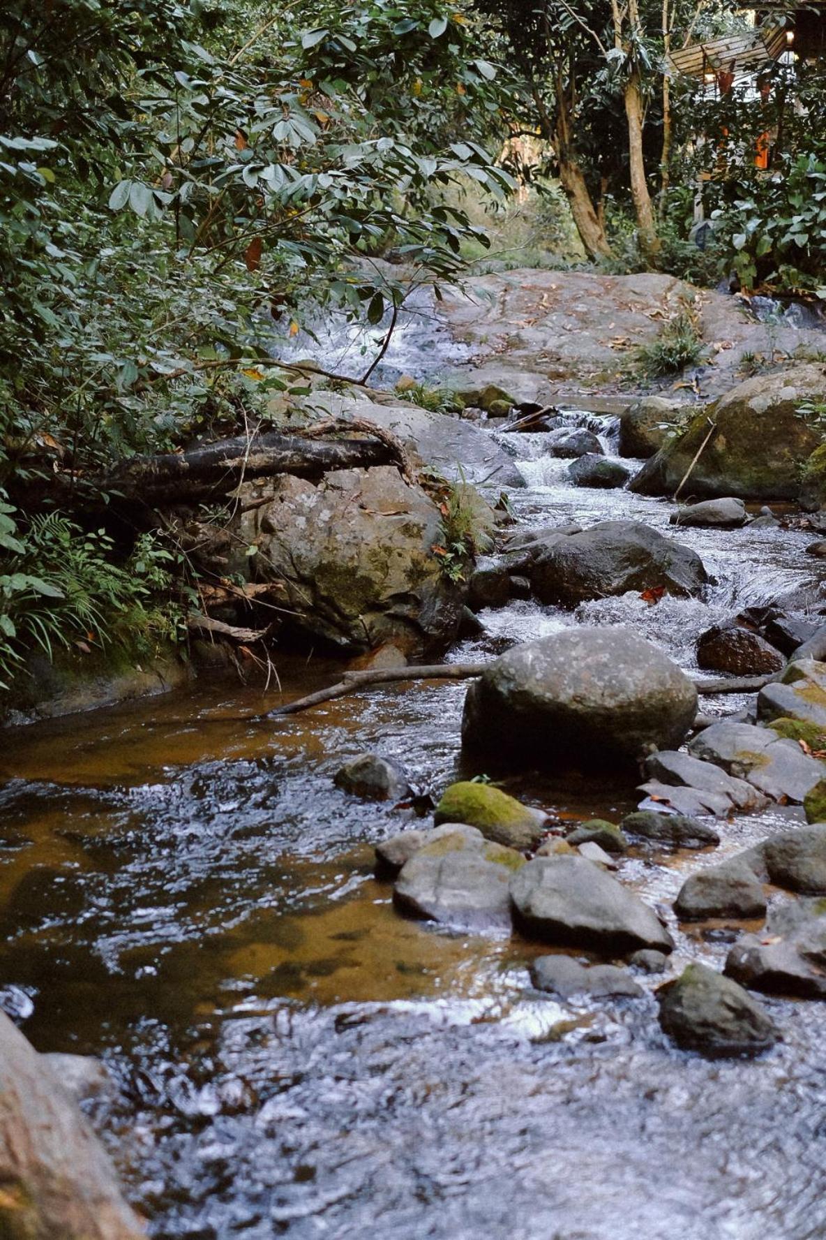 Bee Forest Ban Pok Nai Exterior photo